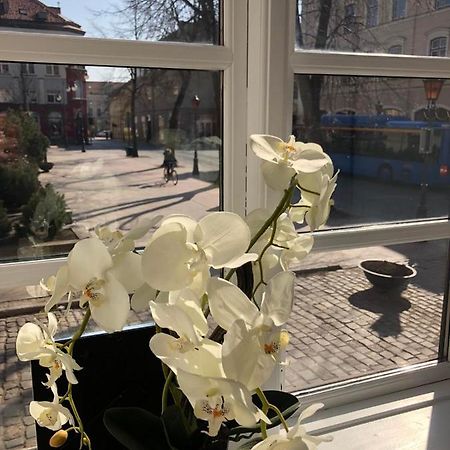 Tiltu 5 Jacuzzi Apartment Klaipėda Kültér fotó