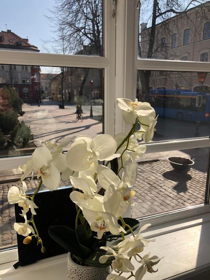 Tiltu 5 Jacuzzi Apartment Klaipėda Kültér fotó